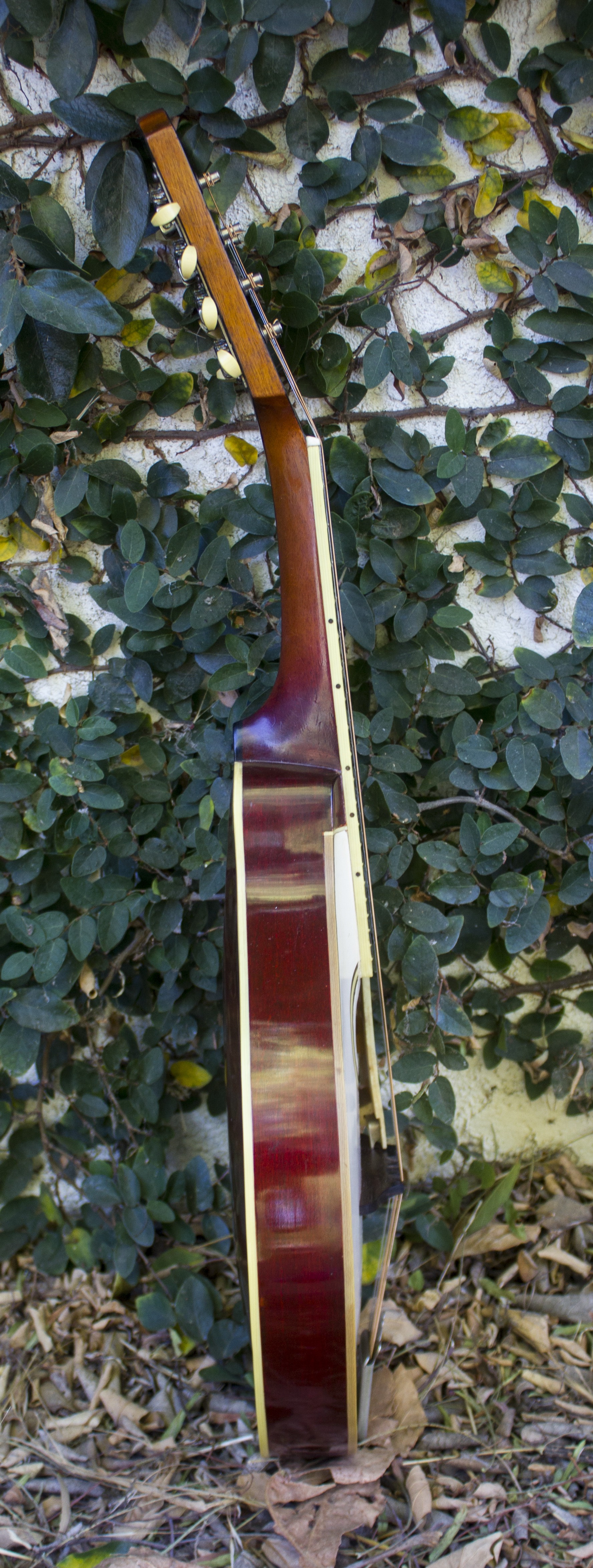  Full Side View 