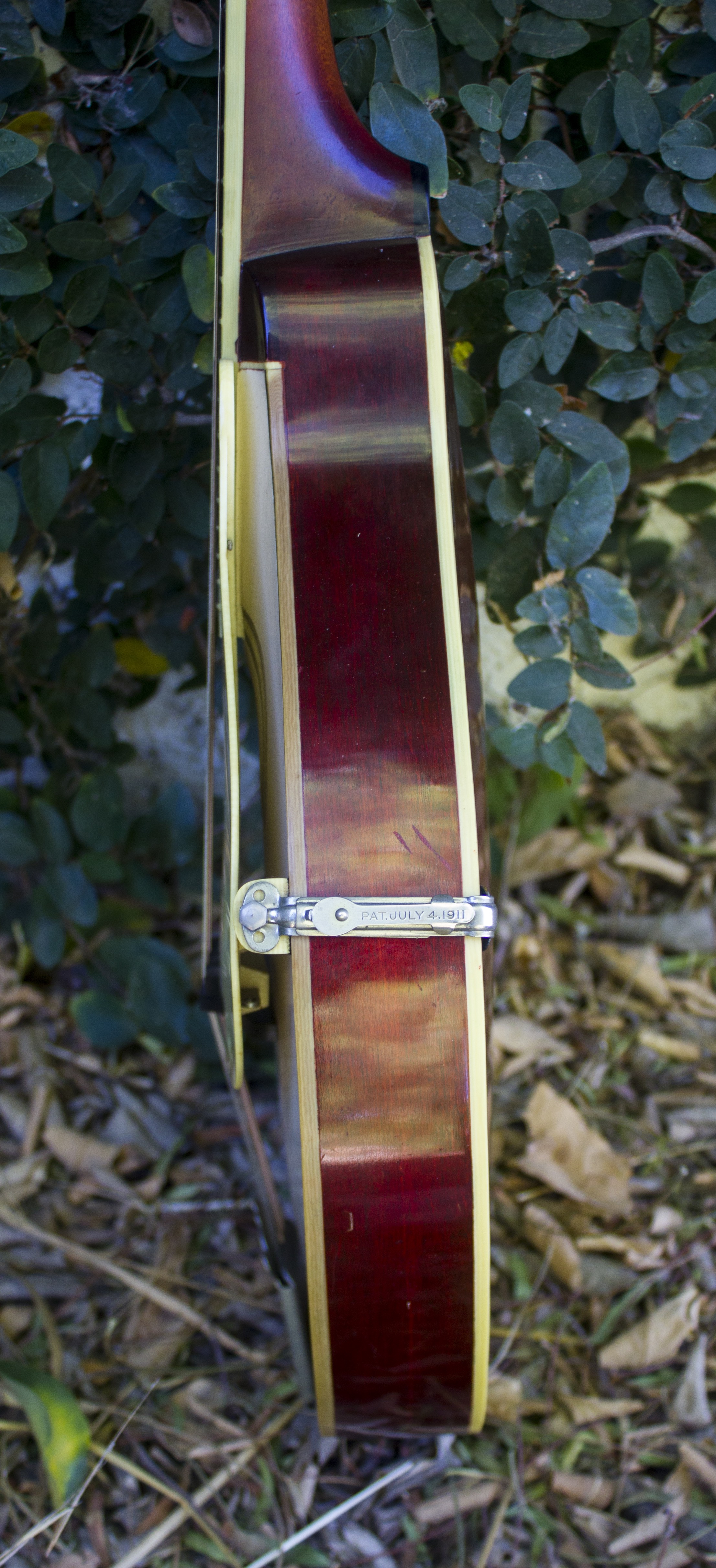  Side with Pickguard/Clamp 